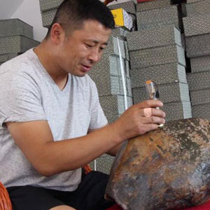 张厉鑫