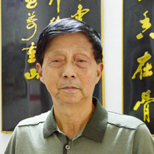 袁康年