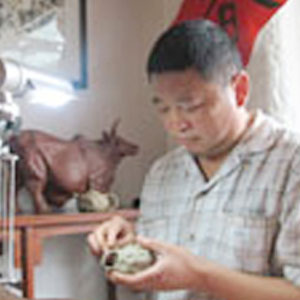 苗春海