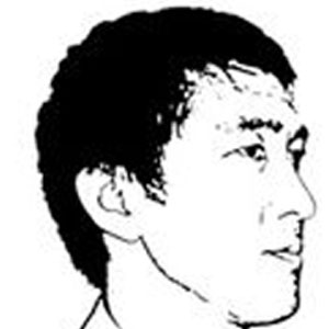 毛丹