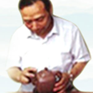 胡敖君