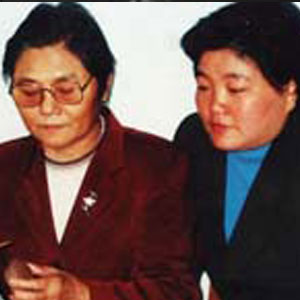 应龙琴